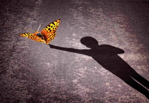 Shadow of a little boy touching a butterfly - Discovery and curiosity concept